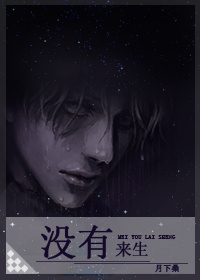 没有来生小说简介